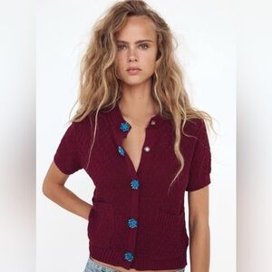 Zara Burgundy Sweater with Blue Accents